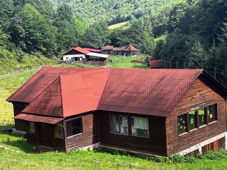 WhatsApp Image 2025-01-30 at 10.52.43 (5)