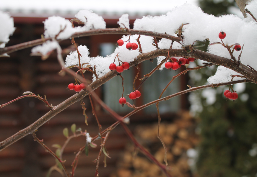 poza-carusel-1-870x600